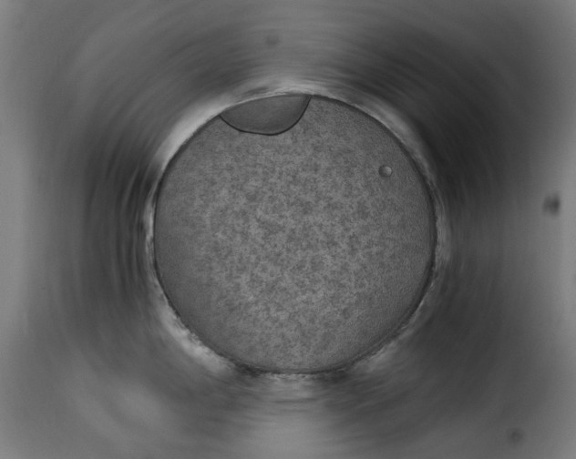 X0000115261198200911201658