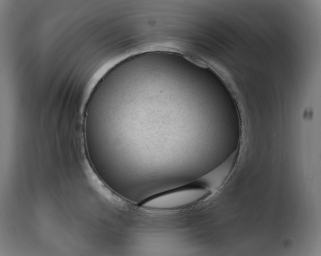 X0000115261200200911201658