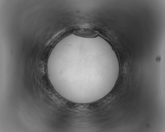 X0000115261205200911201657