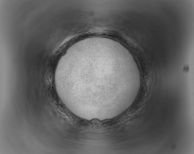 X0000115261206200911201657