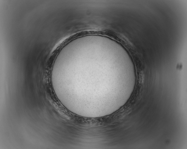 X0000115261208200911201657