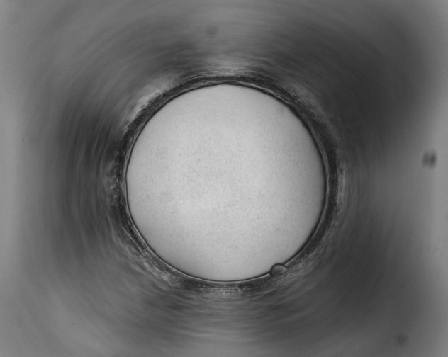 X0000115261210200911201657