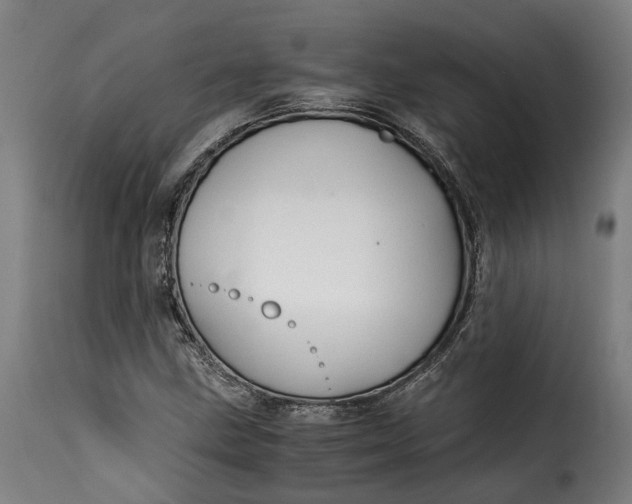 X0000115261211200911201657