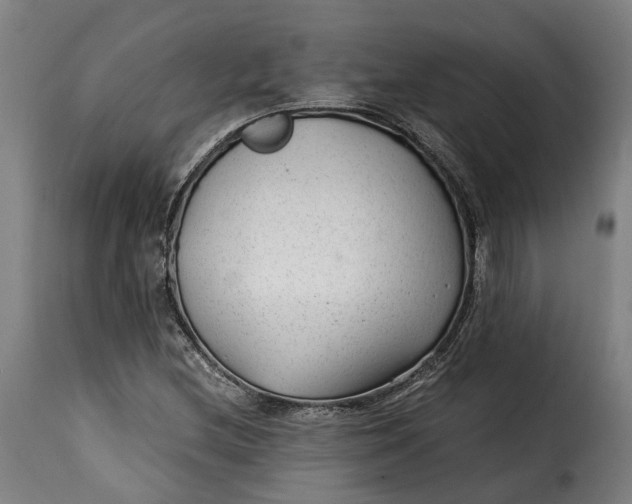 X0000115261212200911201657