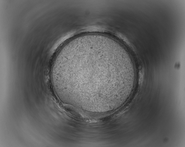 X0000115261213200911201657