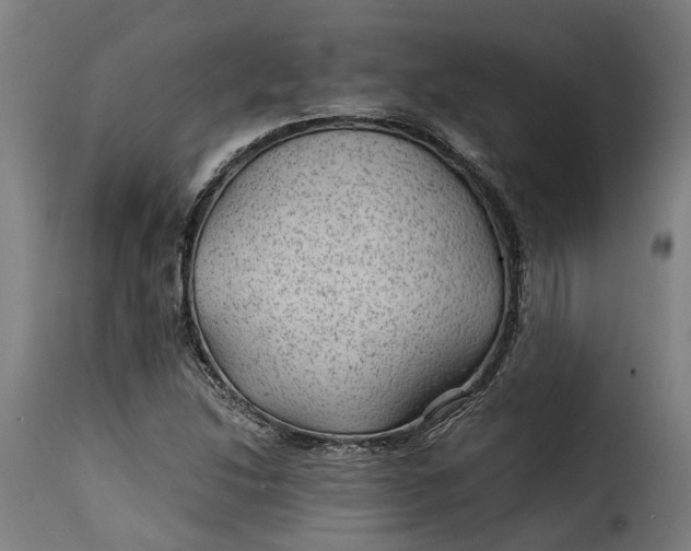 X0000115261214200911201657