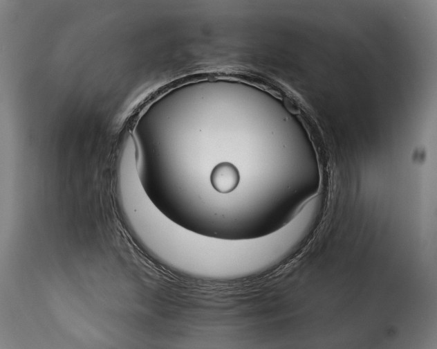 X0000115261215200911201657