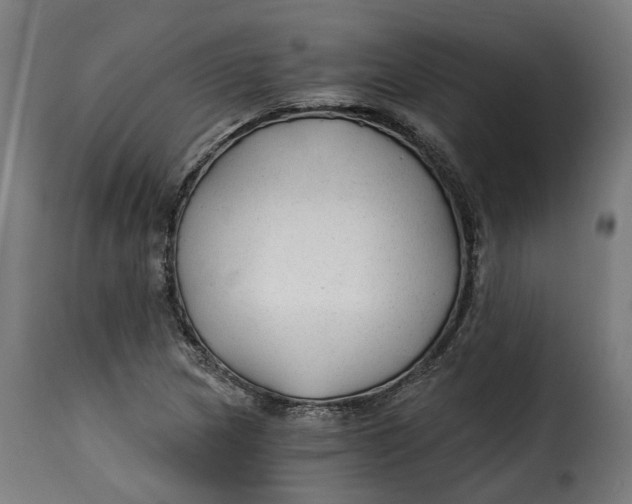 X0000115261217200911201657