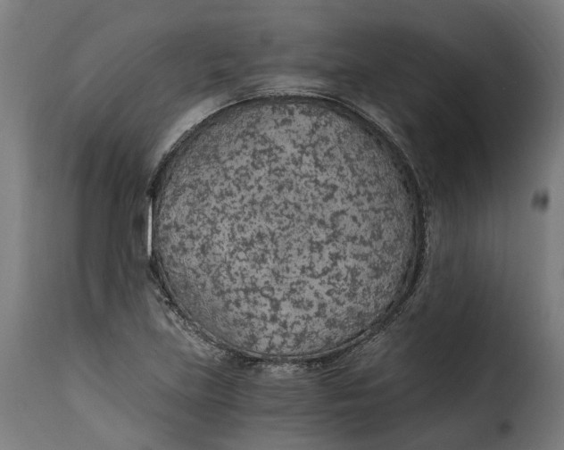 X0000115261219200911201657