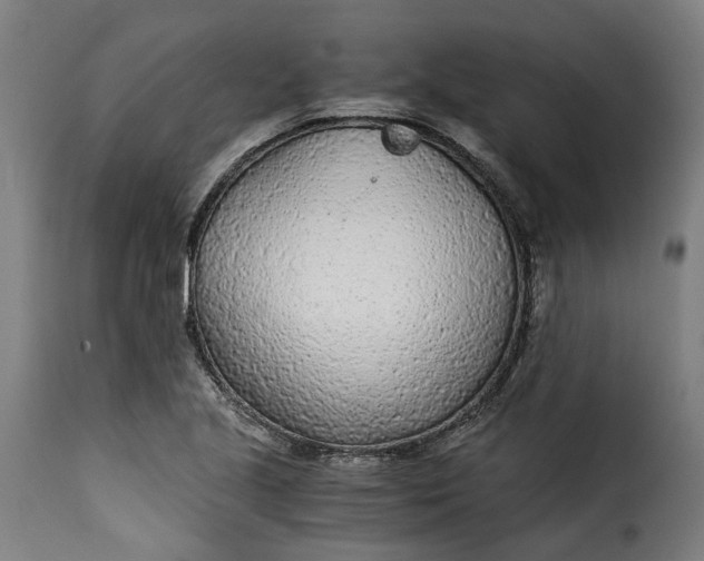 X0000115261221200911201658