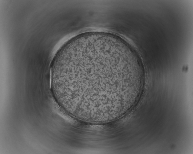 X0000115261223200911201658