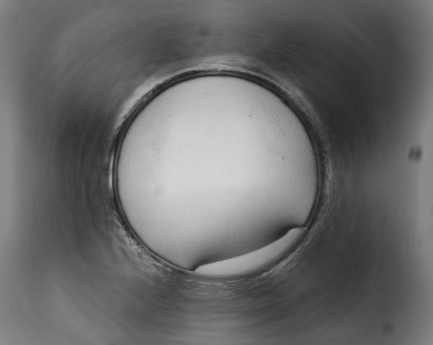 X0000115261224200911201658