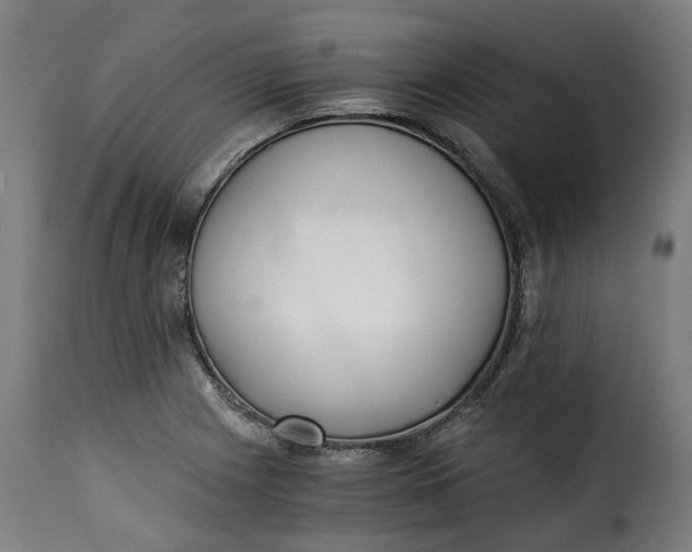 X0000115261225200911201658