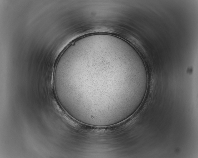 X0000115261228200911201658