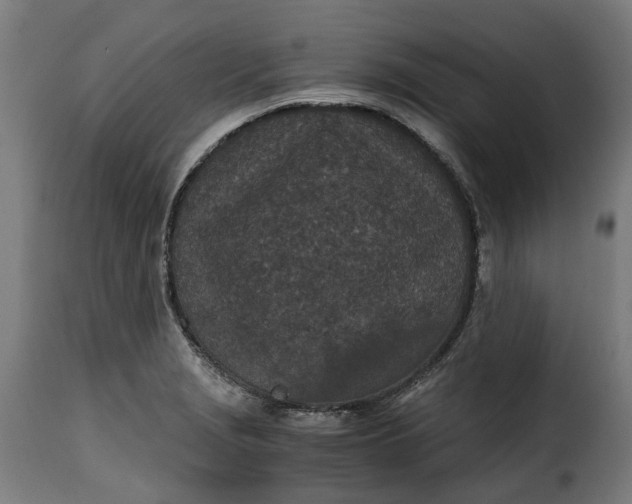 X0000115261229200911201658