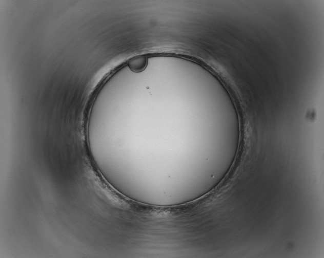 X0000115261230200911201658