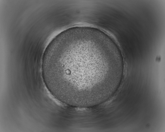 X0000115261231200911201658