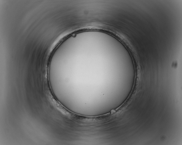 X0000115261232200911201658