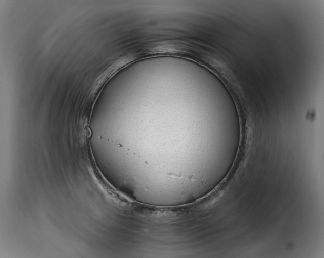 X0000115261233200911201658