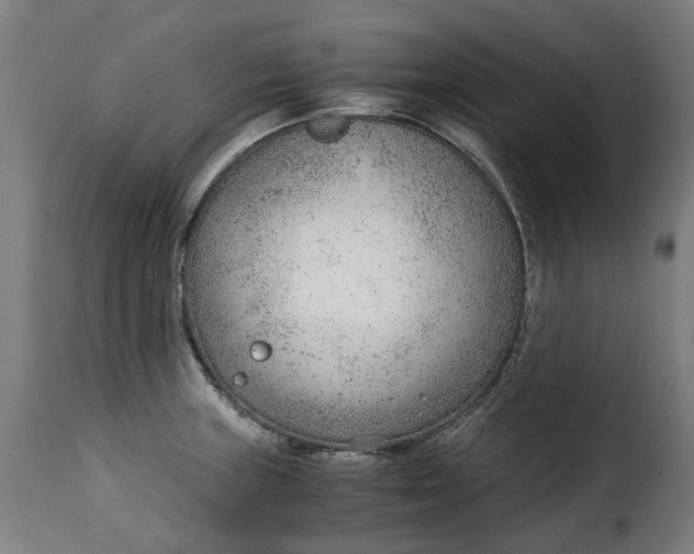 X0000115261235200911201658