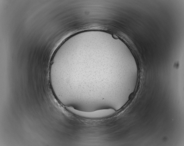 X0000115261236200911201658