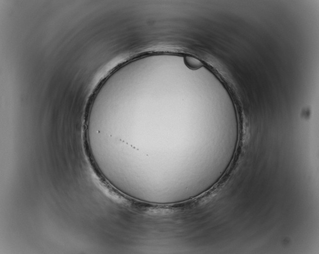 X0000115261237200911201658