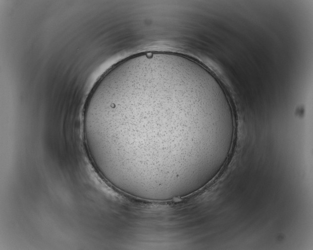 X0000115261238200911201658