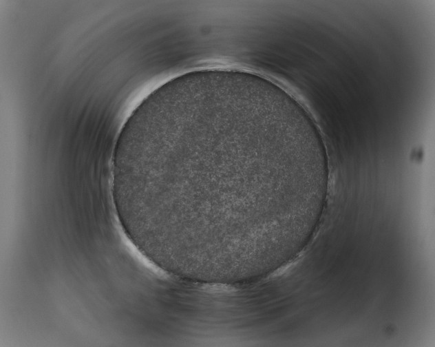 X0000115261239200911201658