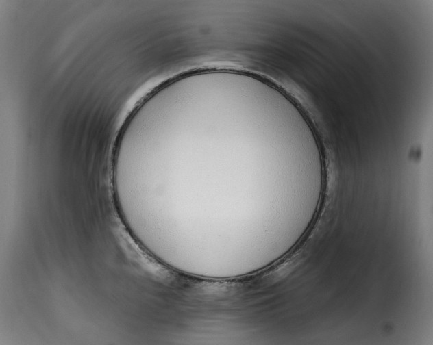 X0000115261240200911201658