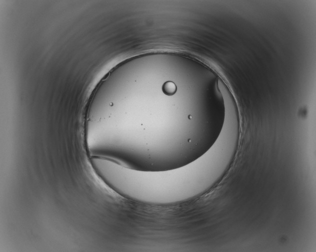X0000115261243200911201658