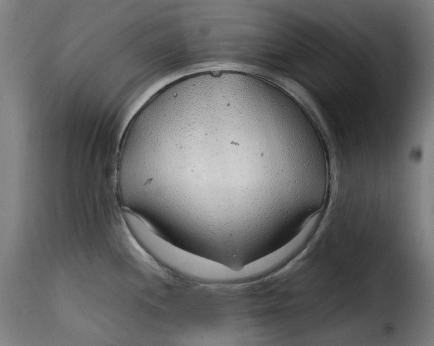 X0000115261244200911201658