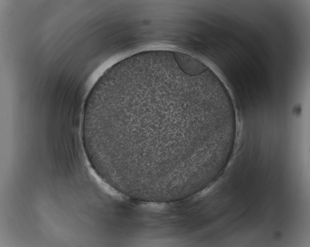 X0000115261245200911201658