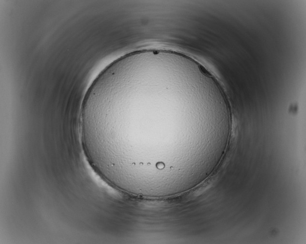 X0000115261247200911201658