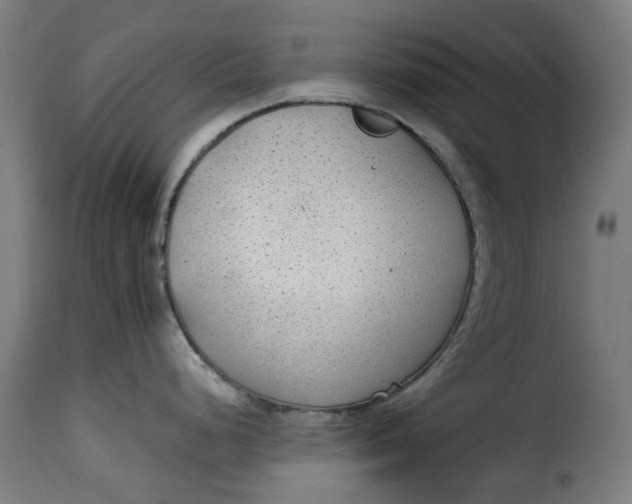 X0000115261248200911201658