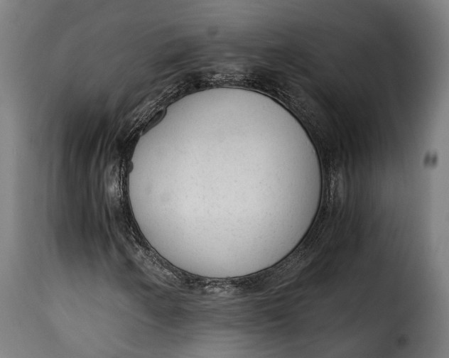 X0000115261250200911201657