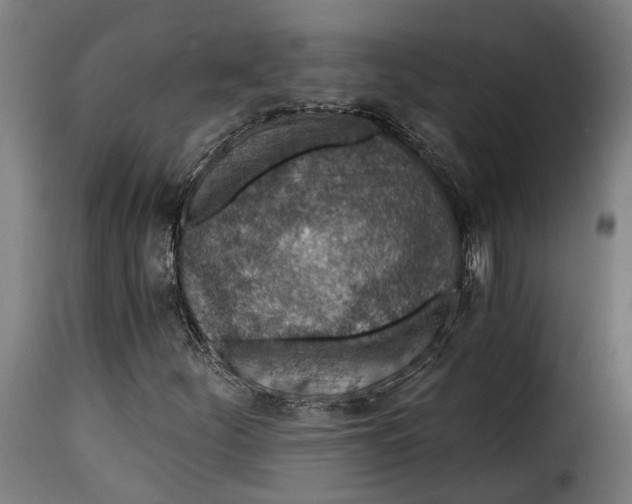 X0000115261252200911201657