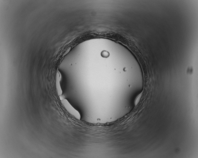X0000115261253200911201657