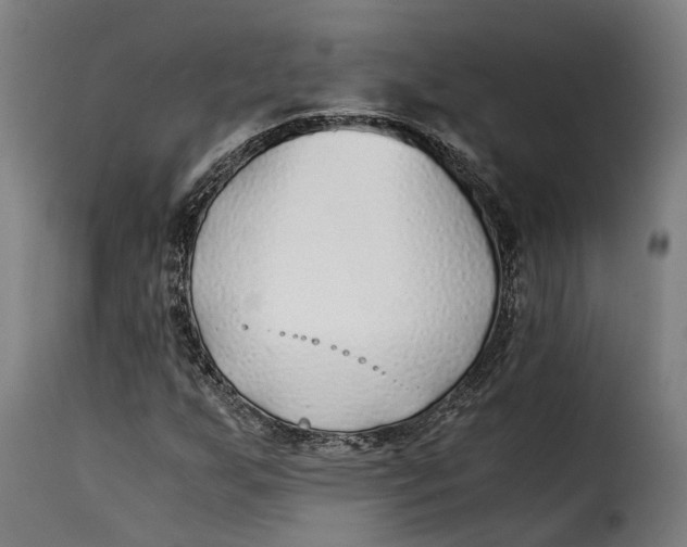 X0000115261255200911201657