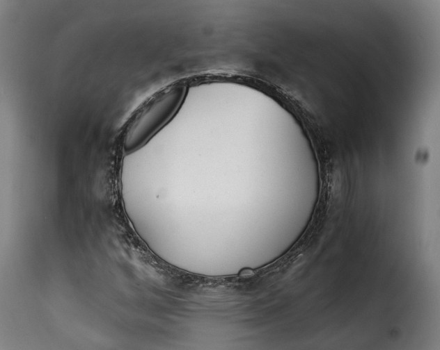 X0000115261256200911201657