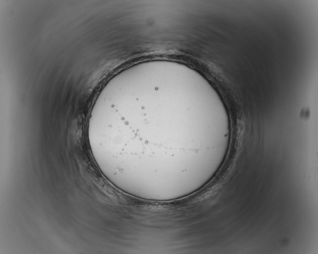 X0000115261257200911201657