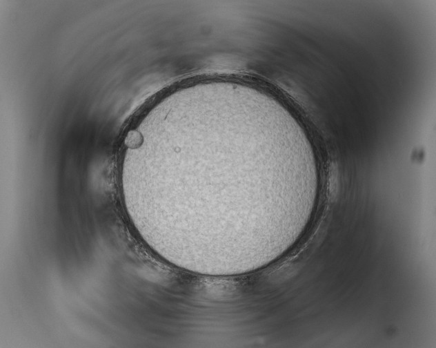 X0000115261258200911201657