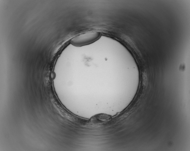 X0000115261260200911201657