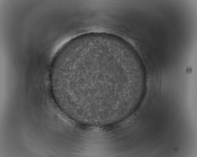 X0000115261263200911201657
