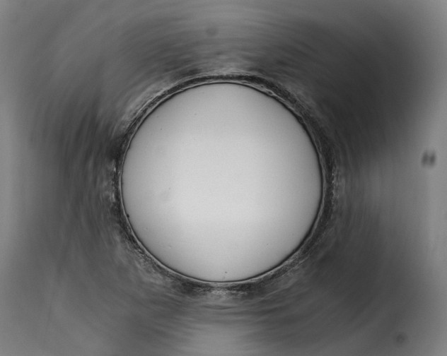 X0000115261265200911201657