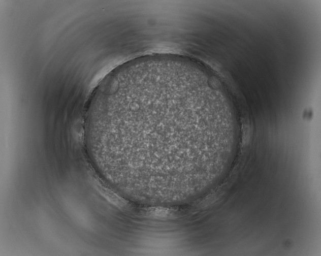 X0000115261266200911201657