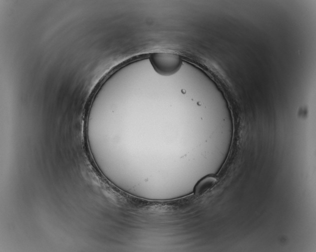 X0000115261268200911201657
