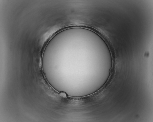 X0000115261269200911201657