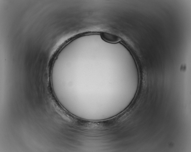 X0000115261270200911201657