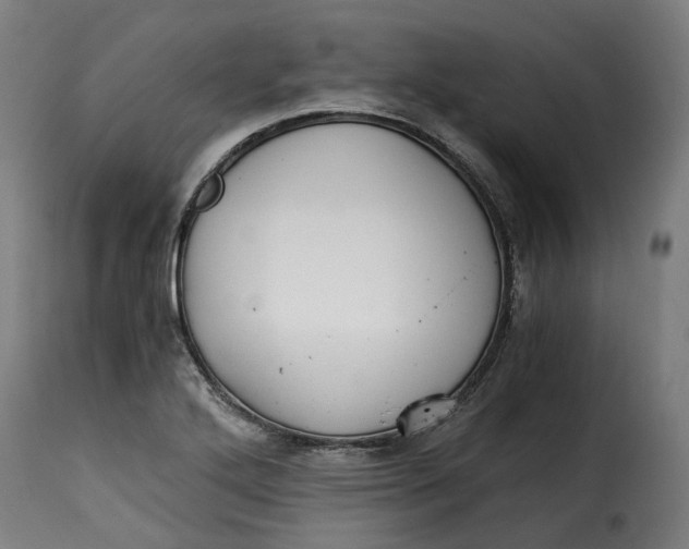 X0000115261272200911201657