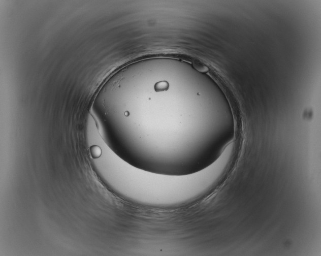X0000115261273200911201657